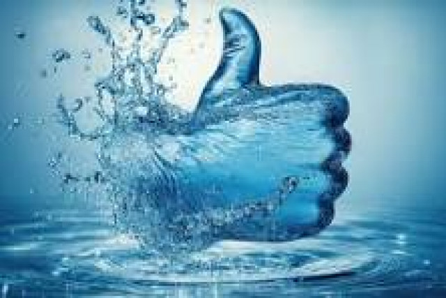 fiskemarlene45@gmail.com