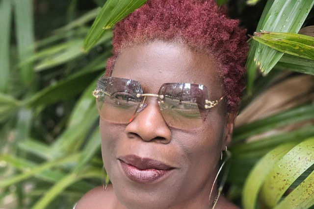 PDMMULBERRYTAXSOLUTION